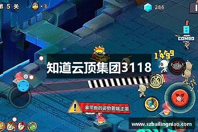 知道云顶集团3118